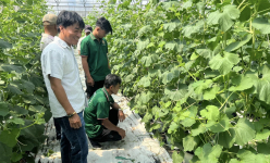 Thủ tướng Chính phủ phê duyệt Đề án bồi dưỡng cán bộ Hội Nông dân các cấp, nông dân giỏi, nông dân xuất sắc