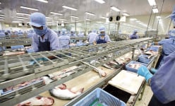 Trung Quốc tăng mua cua, mực, các loài nhuyễn thể từ Việt Nam, xuất khẩu thủy sản vụt tăng 18,2%