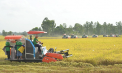 Thủ tục chuyển đổi đất nông nghiệp giữa các hộ gia đình, cá nhân theo quy định mới nhất