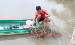 Để con vật nuôi chủ lực này 'thêm khỏe, giảm mệt', nông dân một huyện ở Cà Mau đã làm điều này