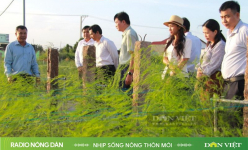 Nhịp sống nông thôn mới ngày 07/03/2025