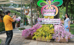 Chủ đề Festival hoa lan TP.HCM năm nay lấy cảm hứng từ câu chuyện đặc biệt