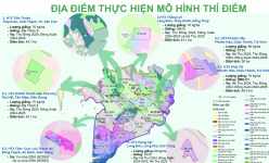 1 năm triển khai Đề án 1 triệu ha lúa chất lượng cao: Nông dân đã thay đổi phương thức canh tác như thế nào?