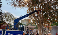 PC Đắk Lắk đảm bảo điện phục vụ Kỷ niệm 50 năm chiến thắng Buôn Ma Thuột và Lễ hội cà phê Buôn Ma Thuột