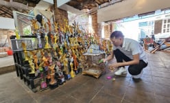 Thứ chim vốn hoang dã nuôi làm cảnh, hót hay, đấu giỏi, ở Đắk Lắk có đủ loại, bán đắt nhất là mấy trăm triệu/con?