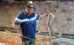 Con động vật hoang dã 'ăn ít đẻ nhiều' được một ông nông dân Kon Tum nuôi thành công, bán như tôm tươi