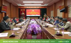 Nhịp sống nông thôn mới ngày 10/03/2025