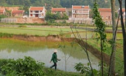 Vụ biệt thự không phép ở Ba Vì: Không thể nói cơ quan quản lý không biết!