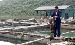 Nuôi con tiền tỷ ngậm miệng làm ngọc trên hồ Núi Cốc mộng mơ