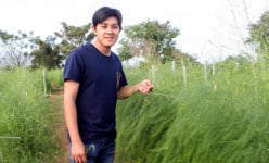 Tốt nghiệp Đại học loại giỏi, trai đẹp về quê trồng măng tây