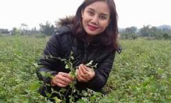 Hòa Bình: Hotgirl trồng cây dại, mỗi tháng bỏ túi hàng chục triệu đồng