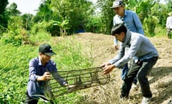 Kiên Giang: Tự hái rau dại, câu cá đồng, vô rừng U Minh đầy bí ẩn