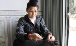 Clip: Nghề lạ ở Sơn La: Kiếm tiền Tết từ thứ đàn bà, con gái vứt đi