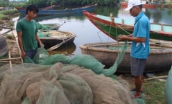 Kỳ lạ cá tầng đáy tràn vào bờ biển Huế