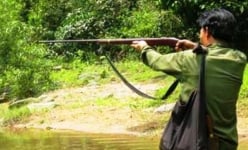 Giương súng bắn thú rừng nhưng 'đạn lạc' trúng người quen