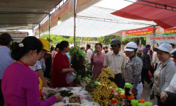 Phiên chợ OCOP Đà Nẵng cơ man sản phẩm sạch, độc lạ