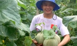 Hai chàng hotboy rủ nhau về quê 'nghịch đất' trồng rau '5 không'