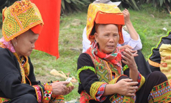 Đặc sản xứ Lạng: Rùa đá nhốt rọ, quả lạ vàng rực, rết độc nhốt chai