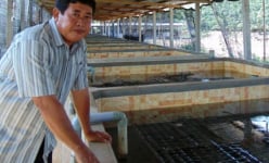 Tỷ phú đa năng vùng biên giới