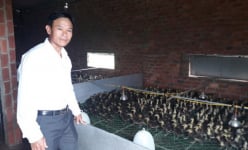 Làm giàu ở nông thôn: Nuôi 30.000 vịt bay như chim, lời nửa tỷ/năm