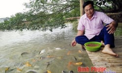 Nuôi cá nhiều tầng, lãi cao, thò tay xuống ao cá vẫn tranh đớp mồi