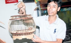Làm giàu khác người: Kiếm bộn tiền nhờ 'xây tổ ấm' cho chim cu gáy