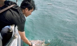 Đi chợ, mua 'trúng' con vật quý hiếm nguy cơ tuyệt chủng