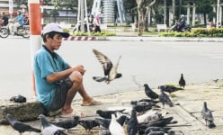 Chuyện lạ ở Cần Thơ: 6 năm 'nhịn miệng' nuôi đàn chim trời