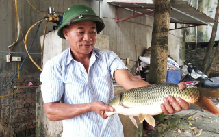 'Quả ngọt” nông thôn mới ở Chương Mỹ: Nông thôn hiện đại, xuất hiện nhiều tỷ phú