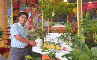 Mai vàng, hoa kiểng sẵn sàng phục vụ thị trường Tết