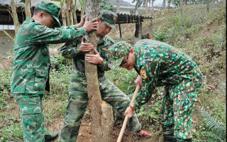 Bộ chỉ huy BĐBP Sơn La trồng hơn 1.000 cây xanh