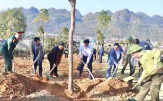 Lai Châu phát động 'Tết trồng cây đời đời nhớ ơn Bác Hồ', phấn đấu trồng mới 15.000 ha rừng vào năm 2025