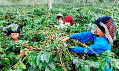 Mường Ảng: Hành trình vươn lên từ khó khăn, giảm nghèo bền vững