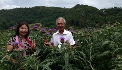 'Sống ảo' và 'sống khỏe' trong vườn dược liệu quý giữa rừng Sapa