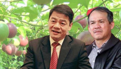 Sau HAG, tới lượt HNG Agrico của bầu Đức “giải trình” nguyên nhân lỗ