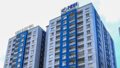 Giá cổ phiếu NBB tăng 110%, CII xem xét giảm sở hữu  về 65,1%