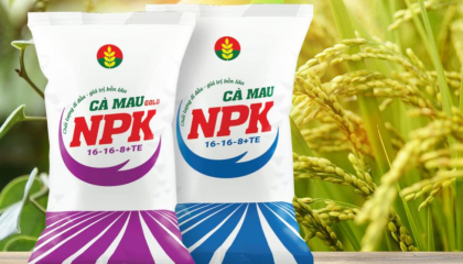 NPK Cà Mau: Khẳng định chất lượng luôn đi đầu, tạo giá trị bền lâu