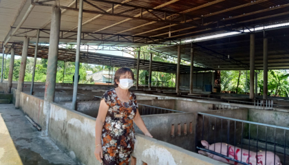 Hai cơ sở giết mổ gia công dừng hoạt động, Vissan lên tiếng nhờ hỗ trợ