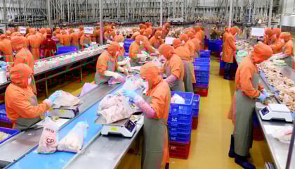 Kiểm soát cơ sở giết mổ thịt, bảo đảm thực phẩm an toàn