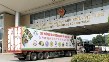 Chi phí logistics nông nghiệp ở Việt Nam cao hơn Singapore tới 300%