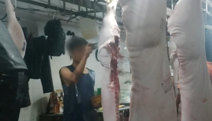Phó Chủ tịch UBND tỉnh Long An chỉ đạo kiểm tra, xử lý nghiêm cơ sở giết mổ động vật nếu có vi phạm