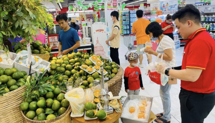 Nhiều siêu thị, sàn TMĐT 'giải cứu' cam sành rớt giá