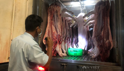 Các cơ sở giết mổ gia súc thủ công tại TP.HCM phải dừng hoạt động từ đầu tháng 4