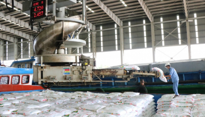 PVCFC 12 năm thành lập: Hành trình của giá trị kiến tạo 
