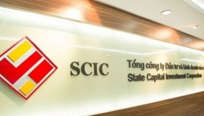 SCIC thoái vốn ở đơn vị mai táng, doanh nghiệp chia thưởng cổ phiếu tới 180%