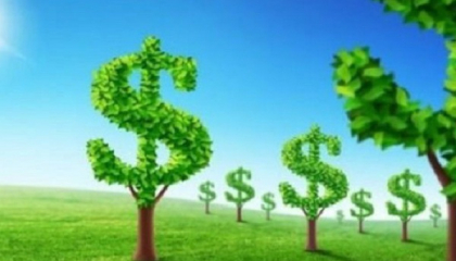 BIM Group được IFC rót 3.500 tỷ đồng qua trái phiếu