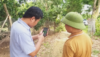 Cận cảnh: Nuôi cá bằng... smartphone ở Vĩnh Phúc