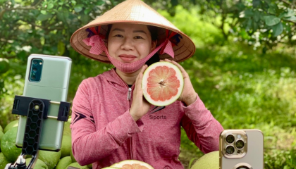 Sau Hội nghị Thủ tướng đối thoại với Nông dân: Bộ Công Thương 'bắt tay' Tiktok, Alibaba đưa nông sản Việt lên không gian số