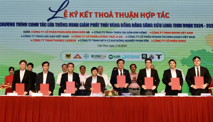 Hội thảo “Đất và phân bón”: Nâng cao hiệu quả sử dụng phân bón trong canh tác lúa ở ĐBSCL