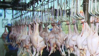 Nông sản Việt Nam đi chinh phục thị trường Halal khi xuất khẩu đạt mức kỷ lục, Halal là thị trường nào?